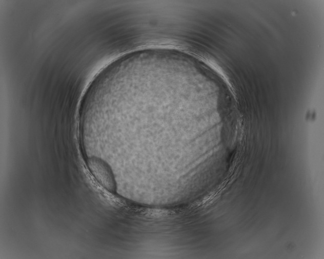 X0000088871088200706291535