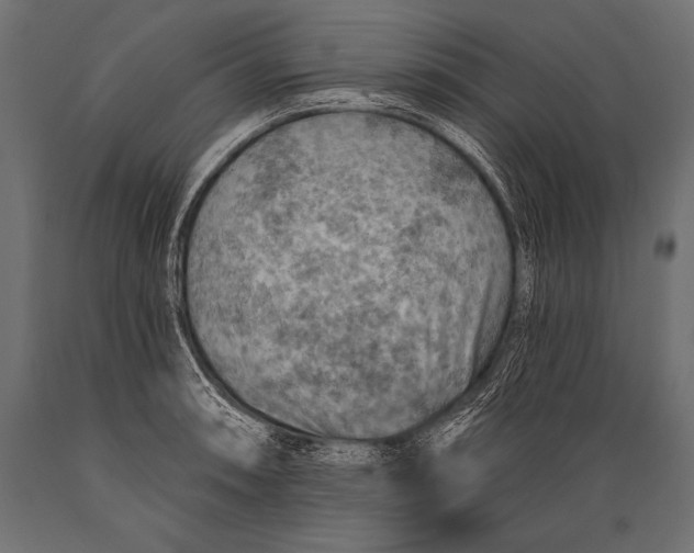 X0000088871090200706291535