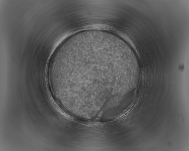 X0000088871091200706291535