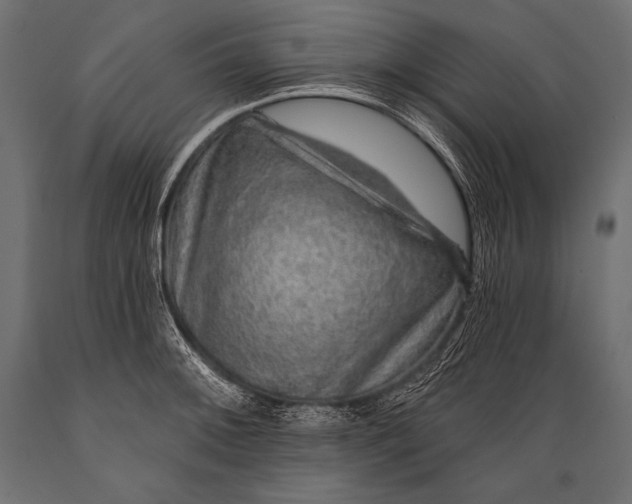 X0000088871092200706291535