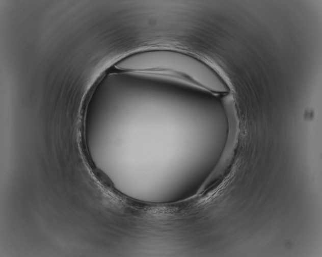 X0000088871093200706291535