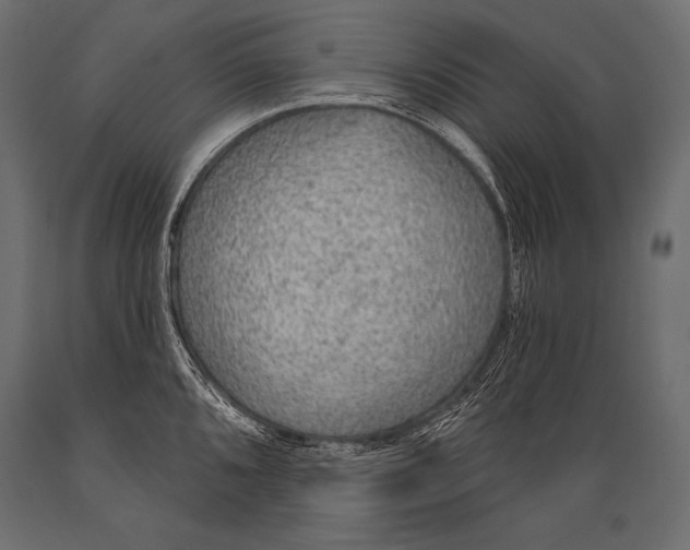 X0000088871096200706291535