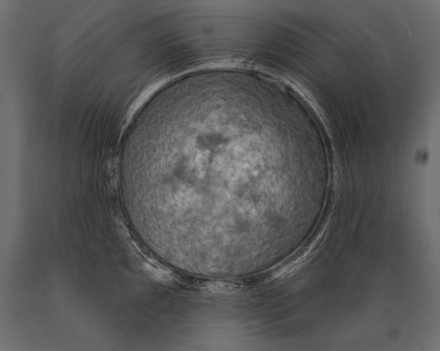 X0000088871097200706291535