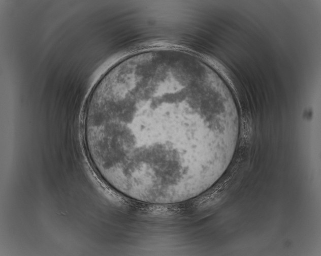 X0000088871098200706291535