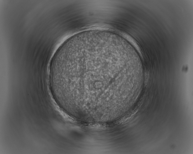 X0000088871099200706291535