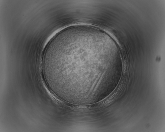 X0000088871101200706291535
