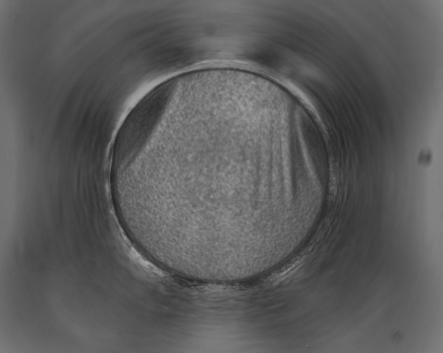 X0000088871102200706291535
