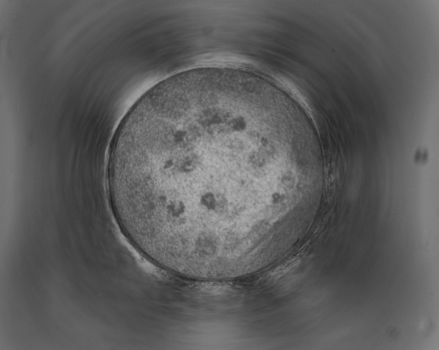 X0000088871103200706291535