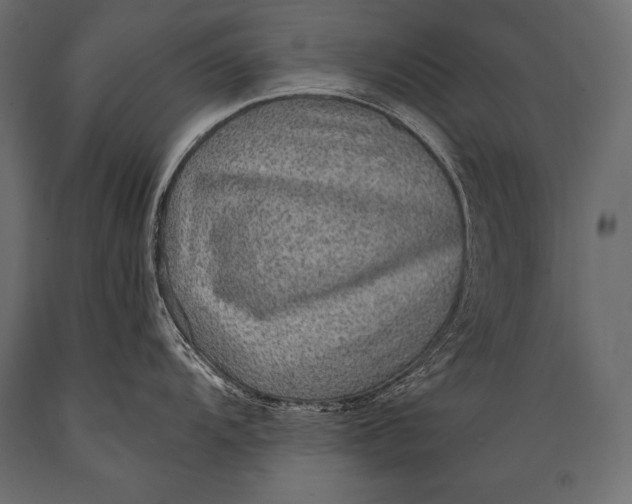X0000088871104200706291535