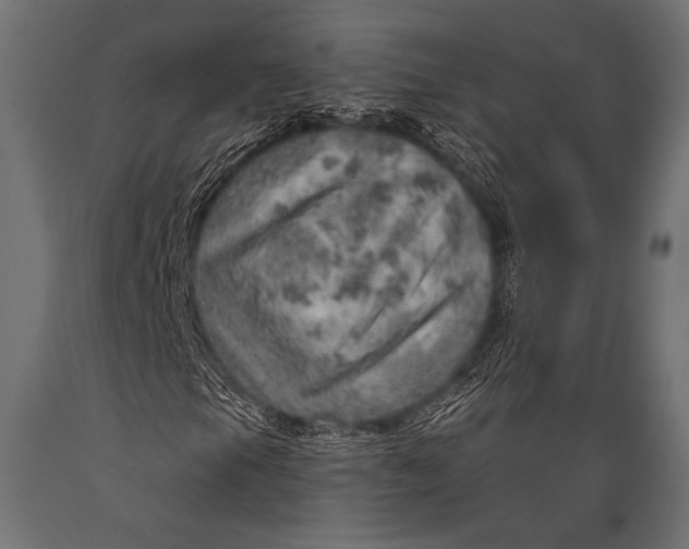 X0000088871105200706291534