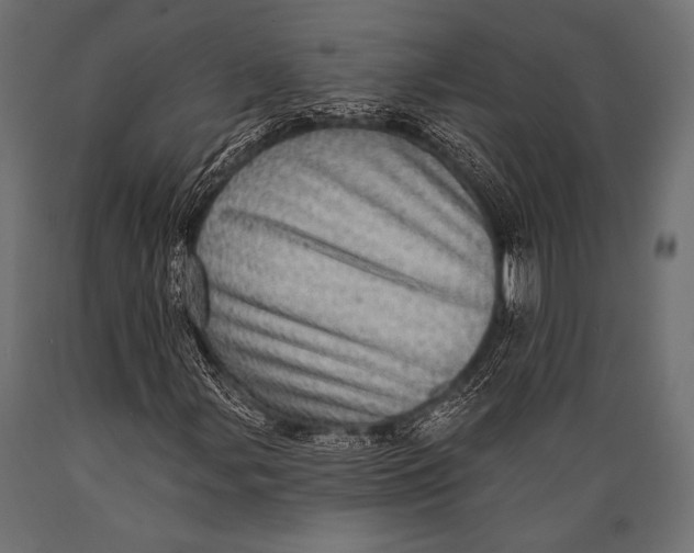 X0000088871107200706291534