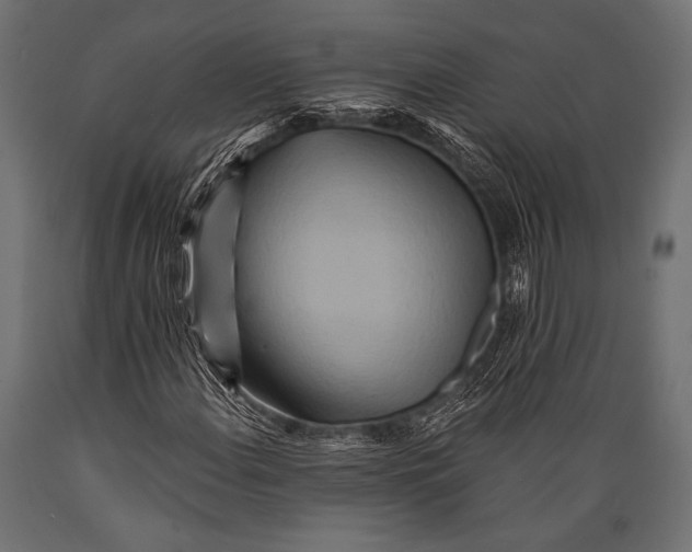 X0000088871108200706291534