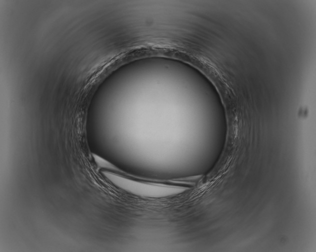 X0000088871110200706291534