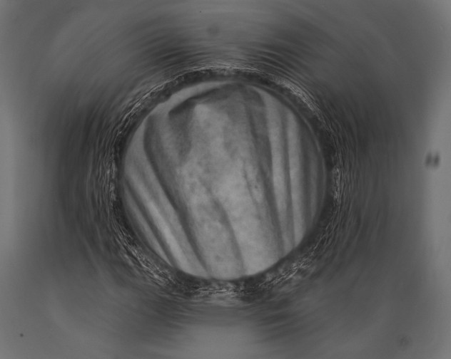 X0000088871111200706291534
