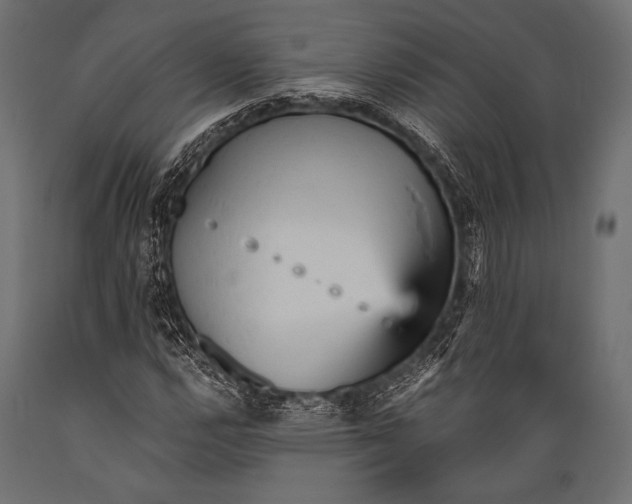 X0000088871112200706291534