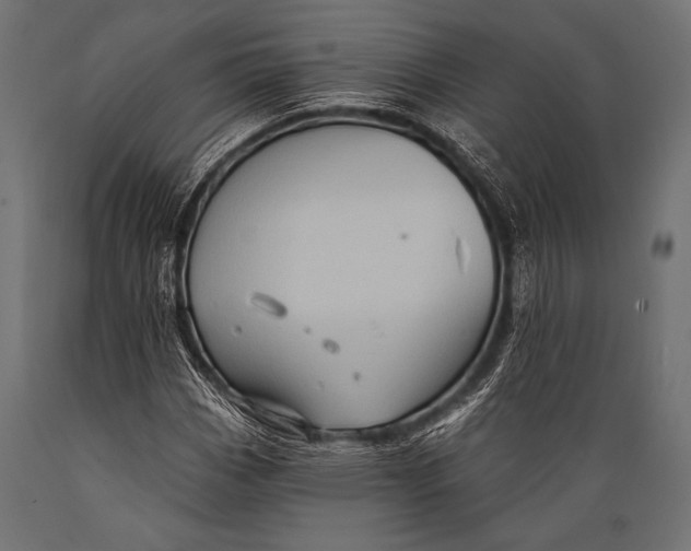 X0000088871113200706291534