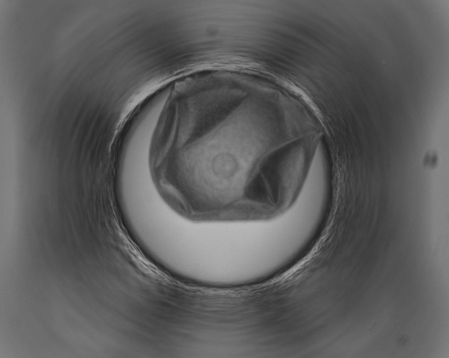 X0000088871114200706291534