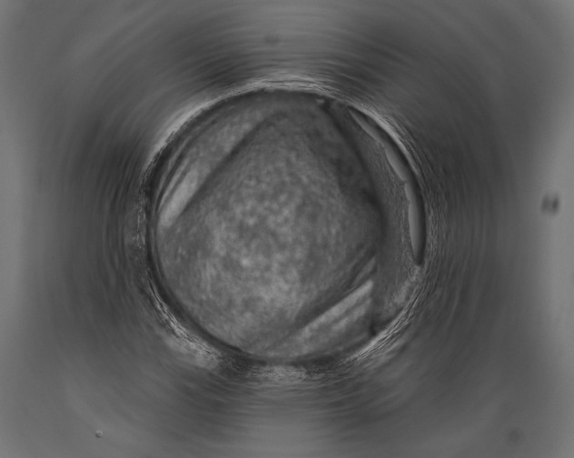 X0000088871115200706291534