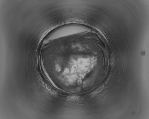 X0000088871117200706291534