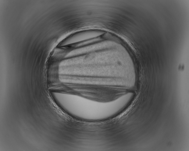 X0000088871118200706291534