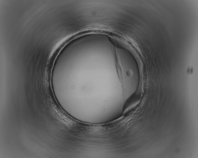 X0000088871120200706291534