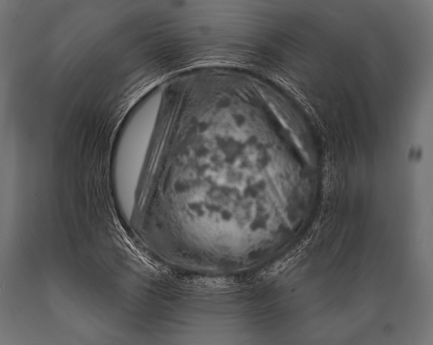 X0000088871121200706291534