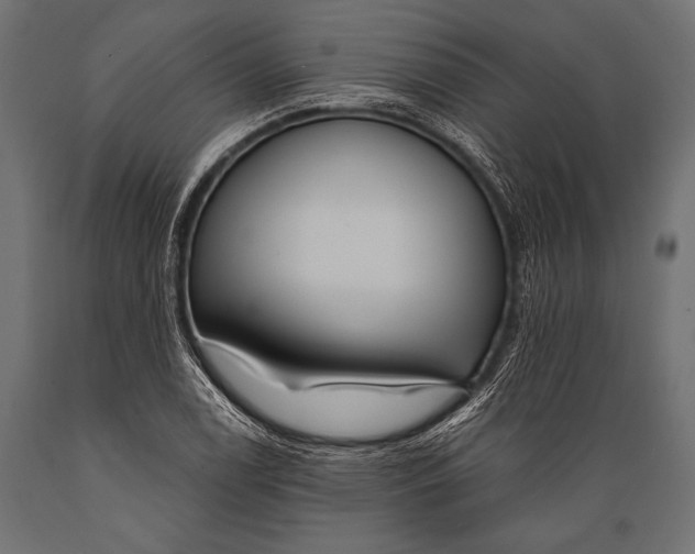 X0000088871122200706291534