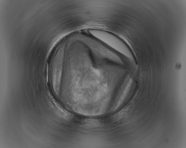 X0000088871123200706291534