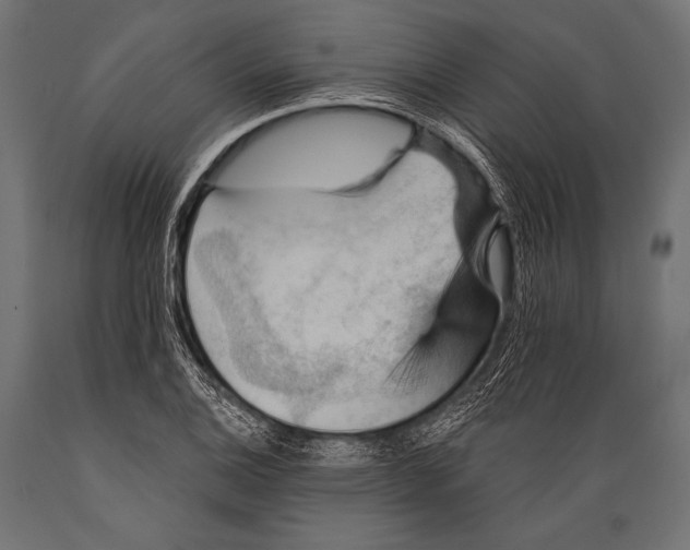 X0000088871124200706291534