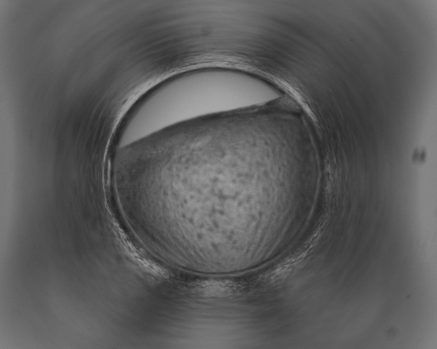 X0000088871125200706291534