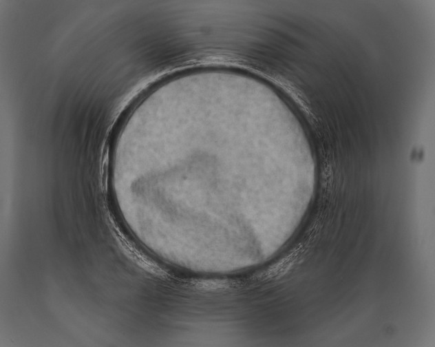 X0000088871126200706291534