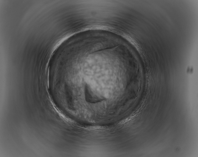 X0000088871127200706291534