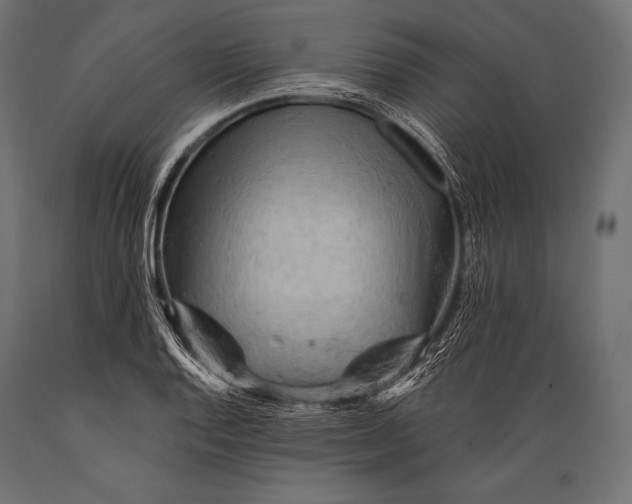 X0000088871128200706291534