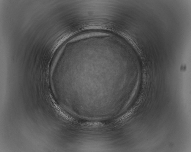 X0000088871129200706291534
