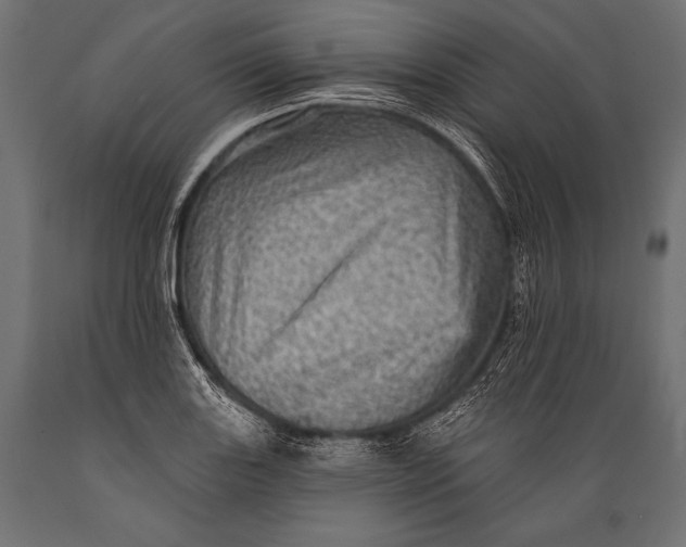 X0000088871131200706291534