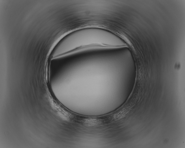 X0000088871132200706291534