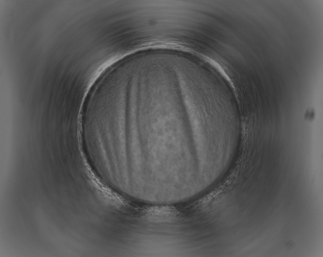 X0000088871133200706291534