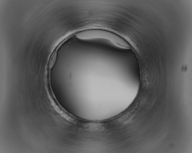 X0000088871134200706291534