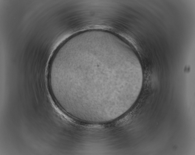 X0000088871135200706291534