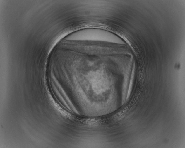 X0000088871139200706291534