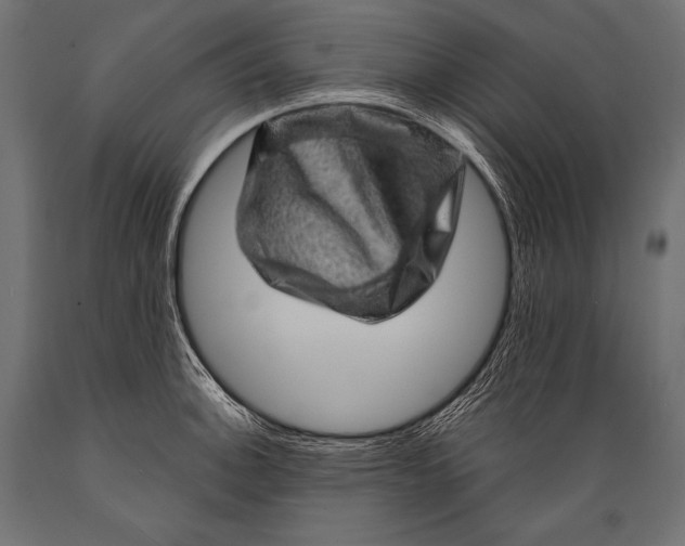 X0000088871140200706291534