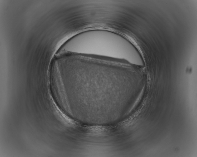 X0000088871141200706291534