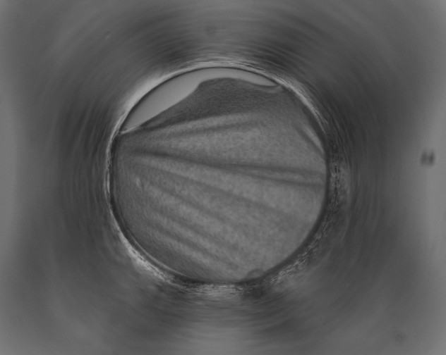 X0000088871143200706291534