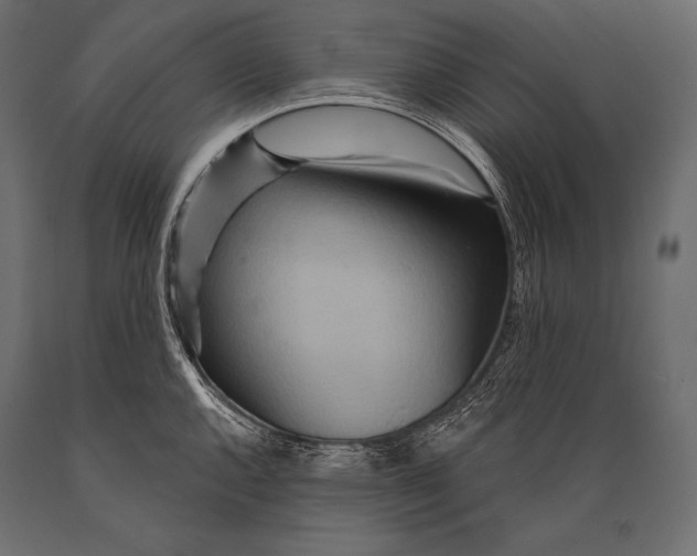 X0000088871144200706291534