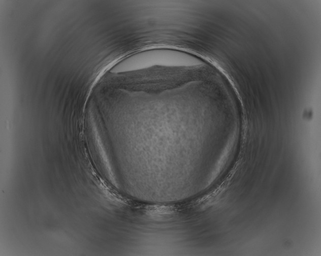 X0000088871145200706291534
