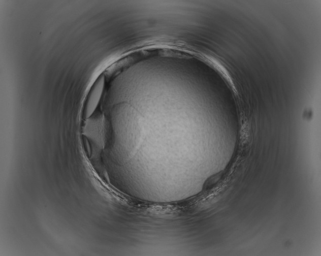X0000088871146200706291534