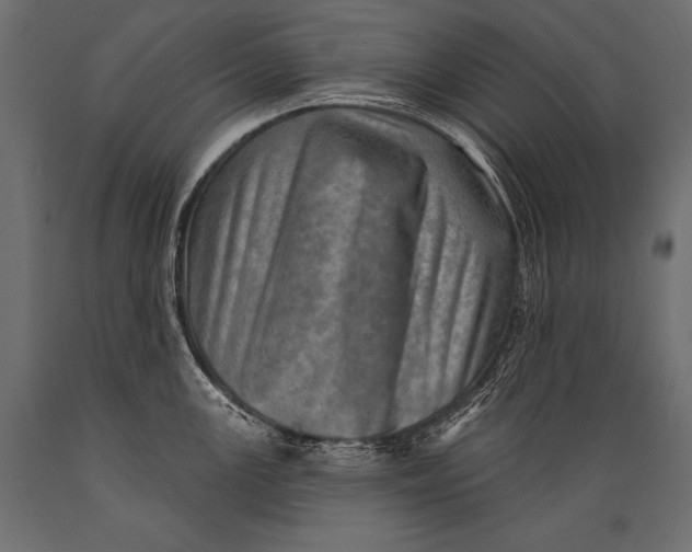X0000088871147200706291534