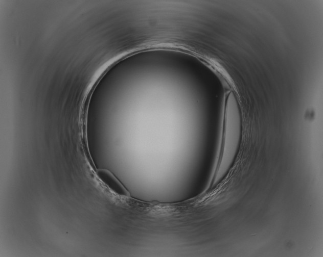 X0000088871148200706291534