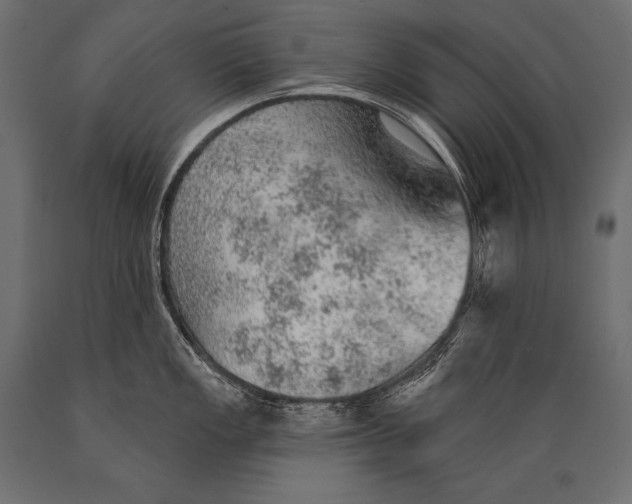 X0000088871149200706291535