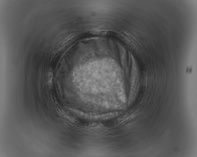 X0000088871154200706291534
